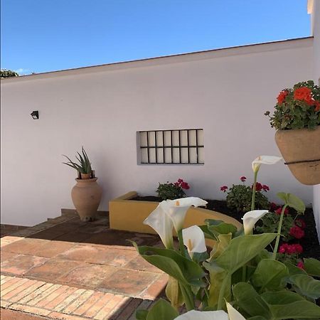 Encantador Apartamento-Centrico-Con Amplio Jardin Torremolinos Exteriör bild