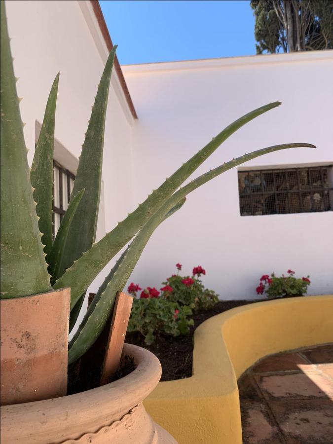 Encantador Apartamento-Centrico-Con Amplio Jardin Torremolinos Exteriör bild
